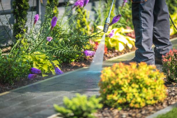 Best Animal Enclosure Cleaning  in Bellair Meadowbrook Terrace, FL